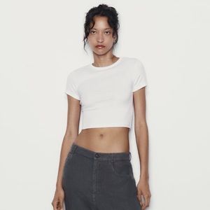 Zara crop top